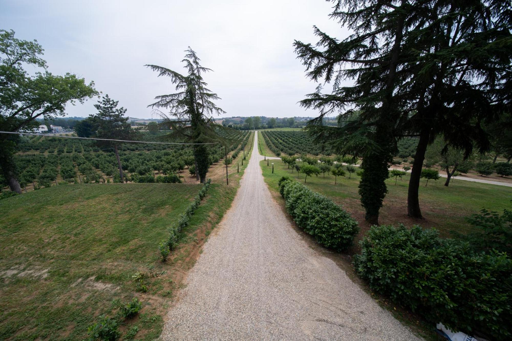 Cascina Baronina Terruggia Exterior foto